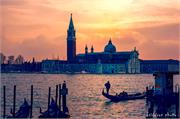 VENICE21 (14)